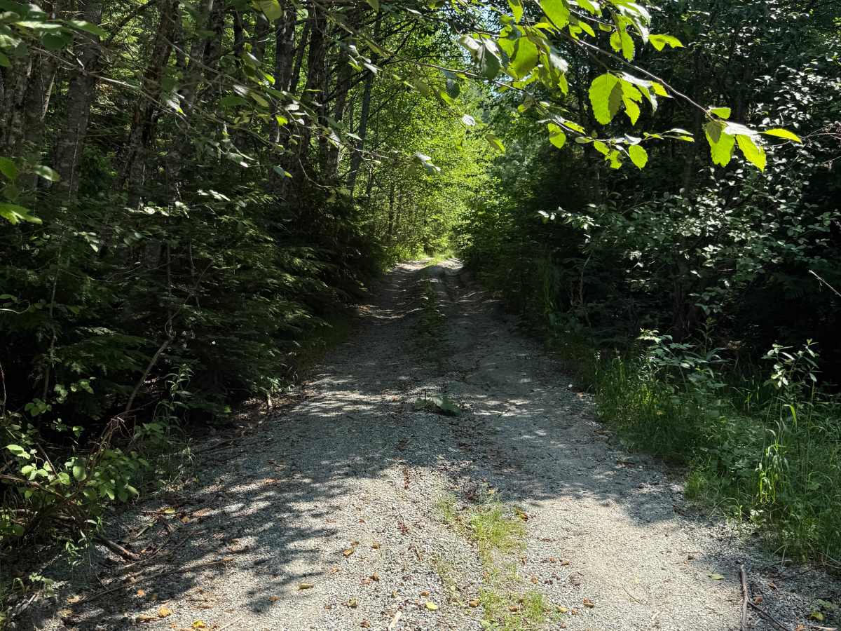 Fawn Pit photo 6