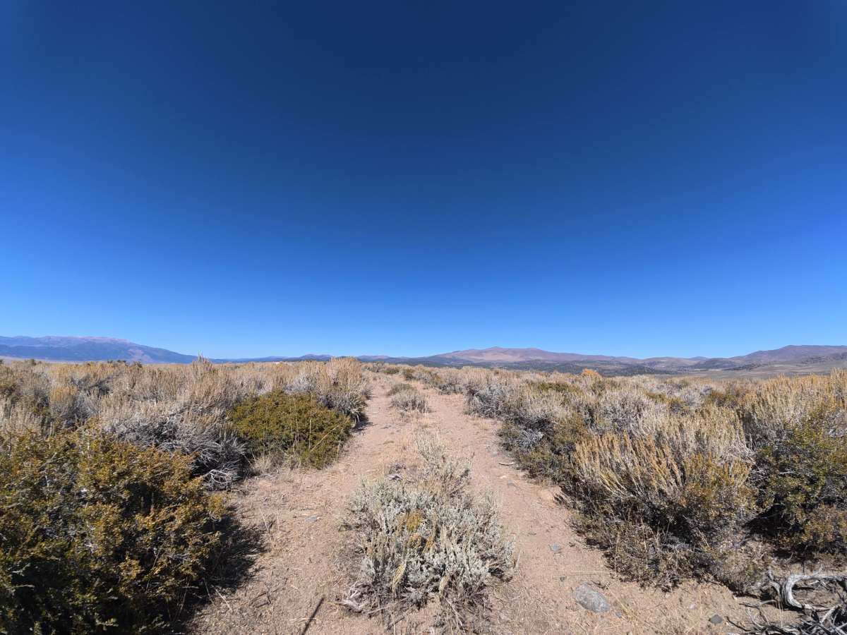 Dog Creek West photo 6