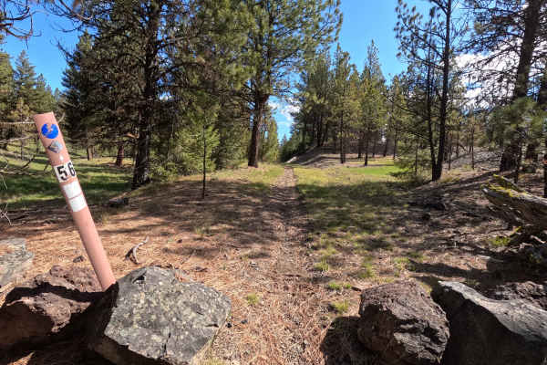 Trail 56