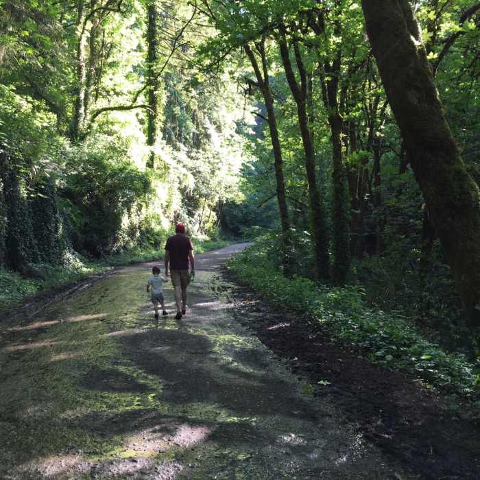 A light hike up NW Leif Erikson Drive Trail. Near NW Leif Erikson Drive Trail