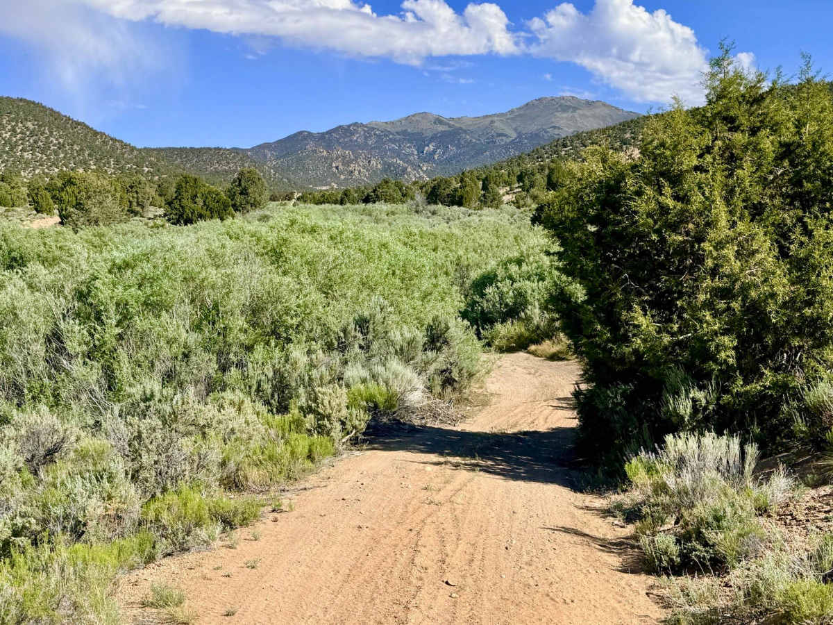 Lower Cross Canyon photo 4