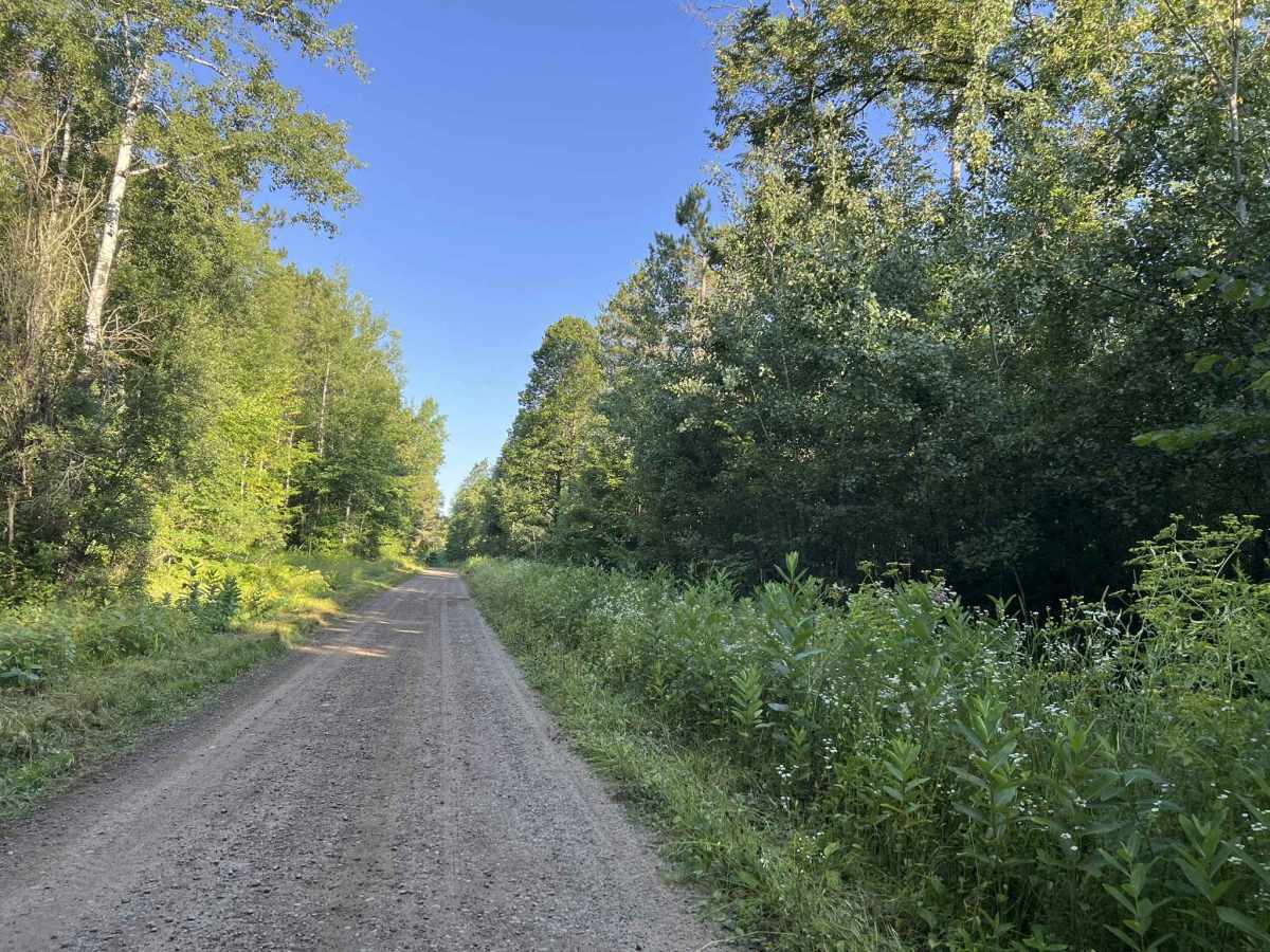 Tie Mill Road - FS 2402 photo 3