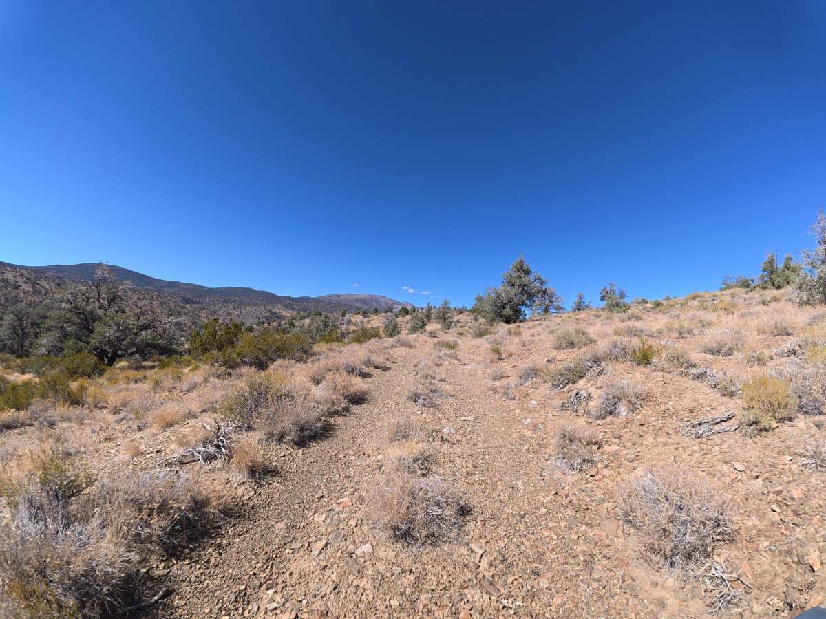 Deep Spring Overlook Trail photo 3
