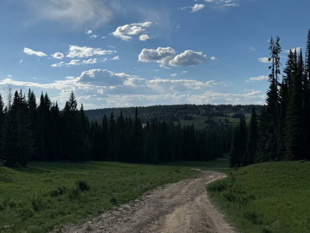 Transfer Trail Connect photo 6
