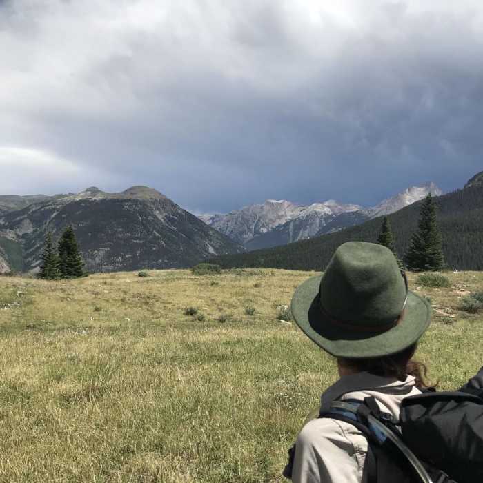 Near Molas Pass Trail #665