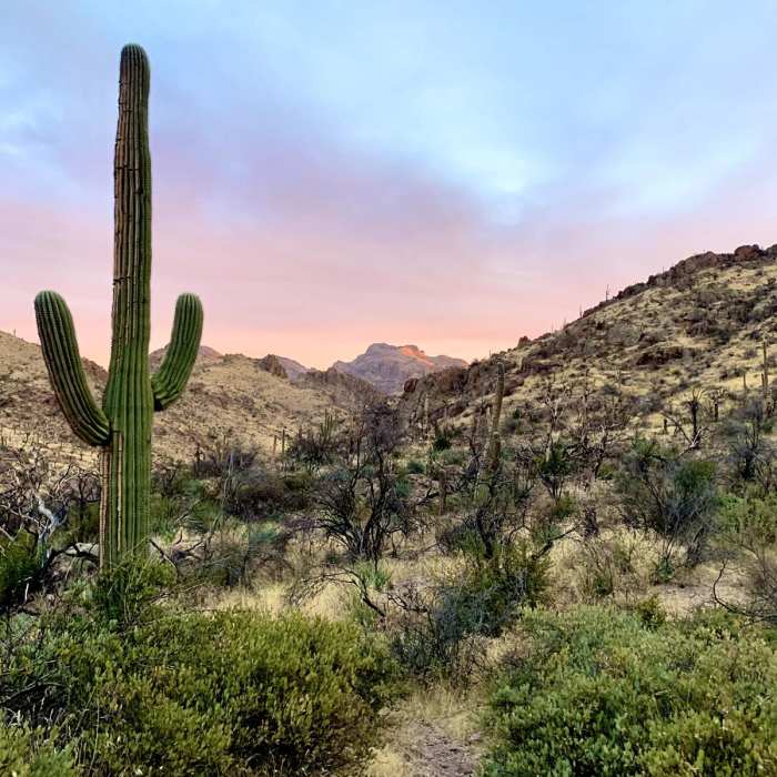 Near Red Tanks Trail #107