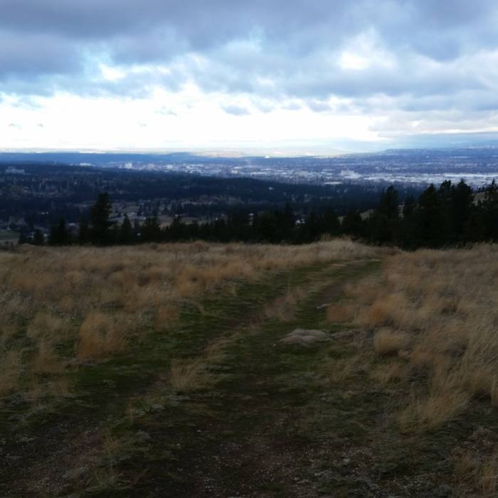 Near Glenrose Cliffs Hike
