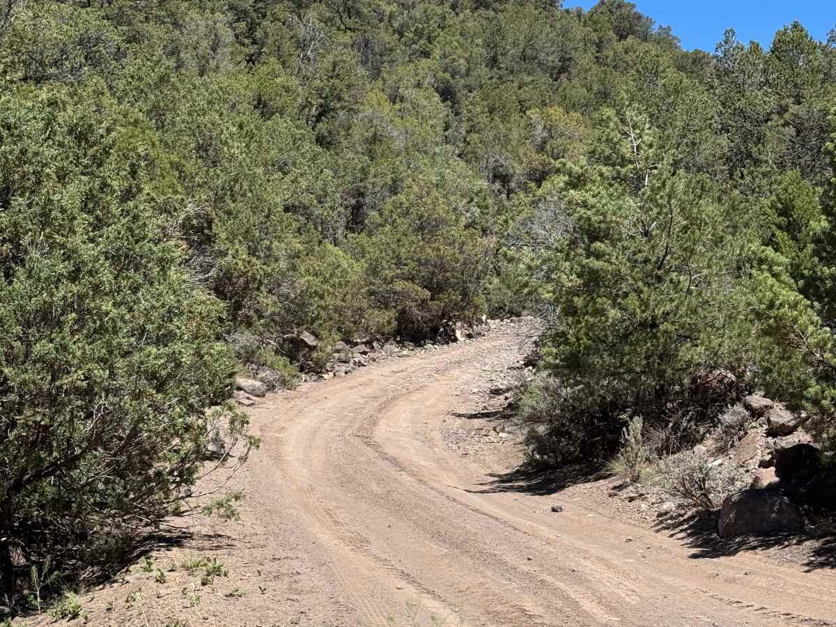 BLM 8480B photo 6