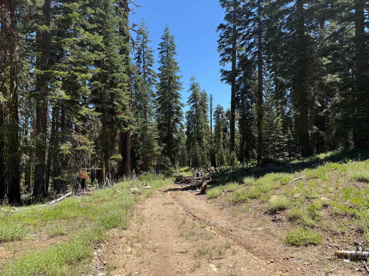 Peavine Corridor - FS 11N99A photo 2