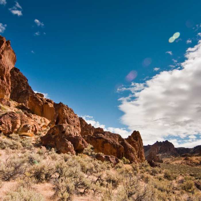 Near The Honeycombs Near The Honeycombs