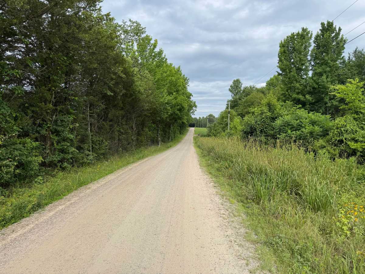 County Road 3550 trail photo