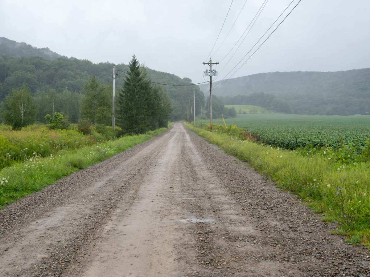 Eagle Forest Road trail photo