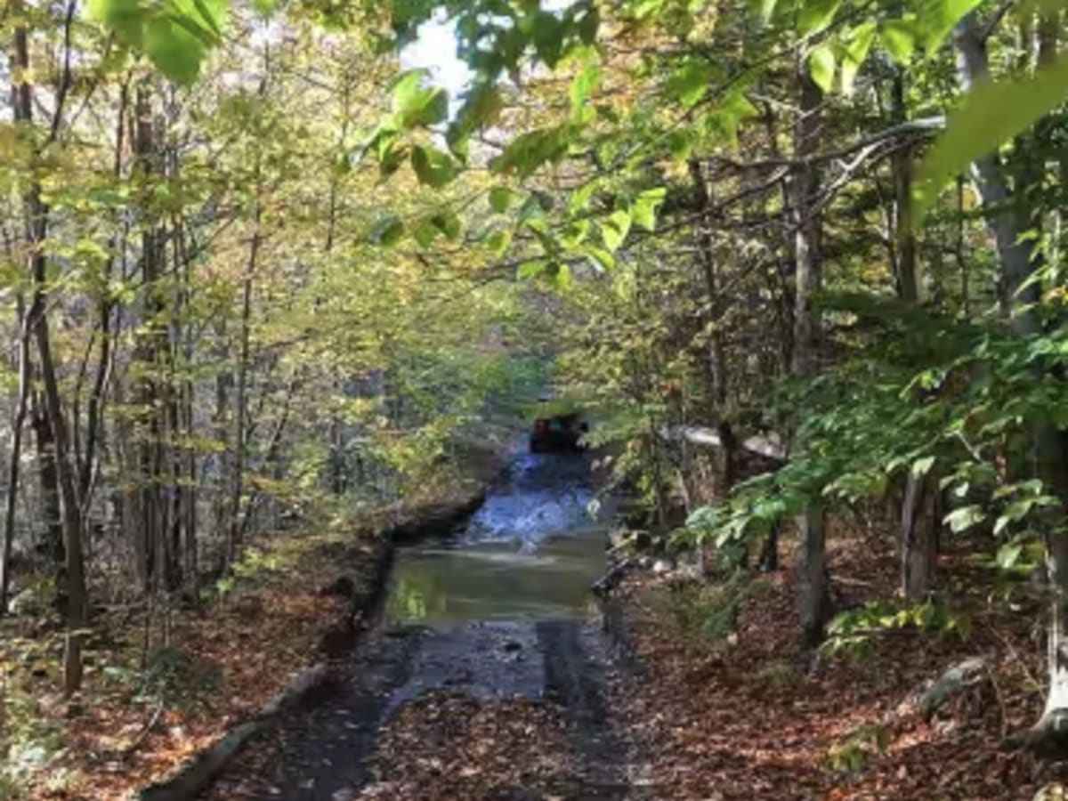 Colby Pond Trail photo 3