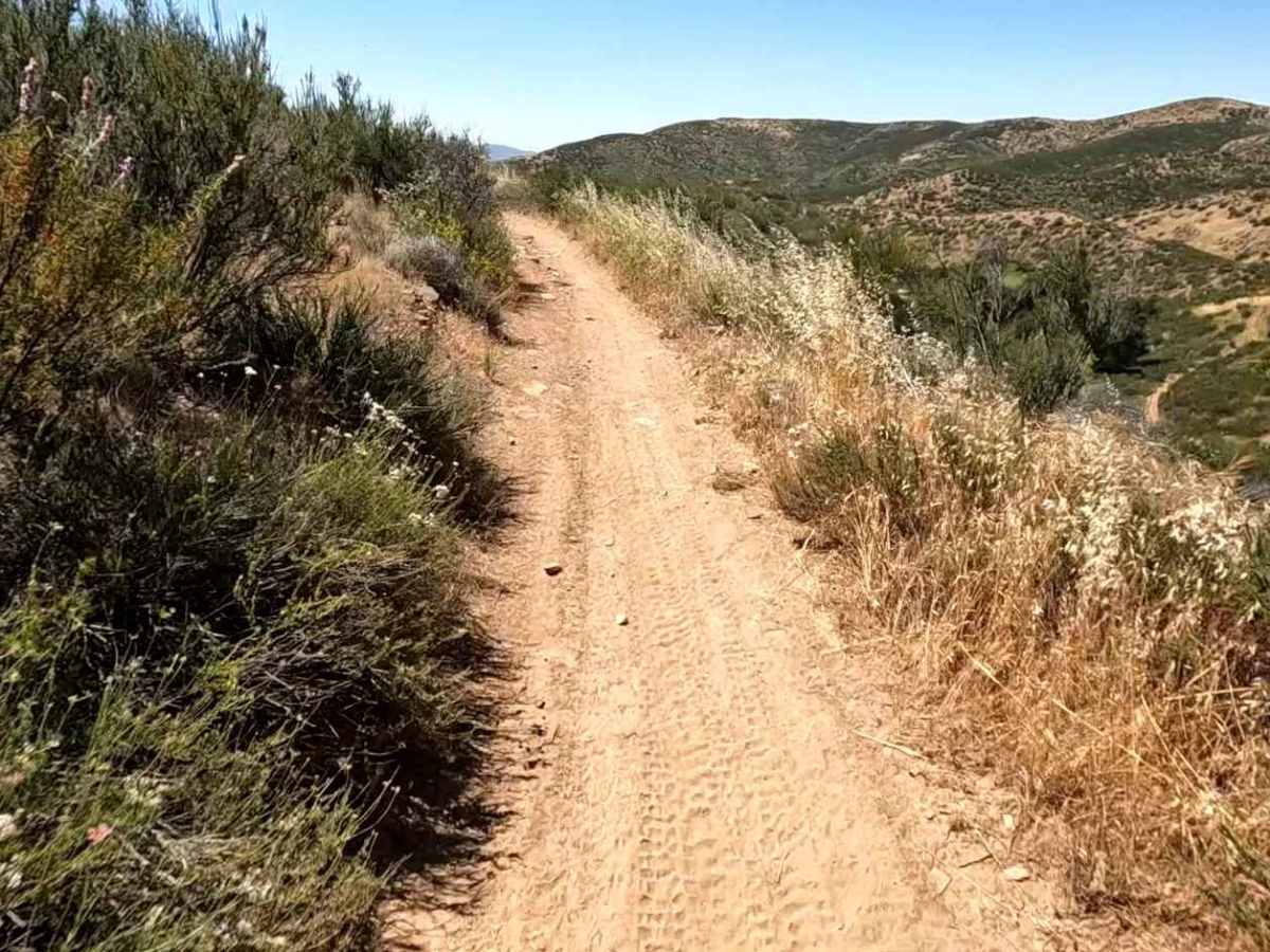 Spring OHV Trail photo 5
