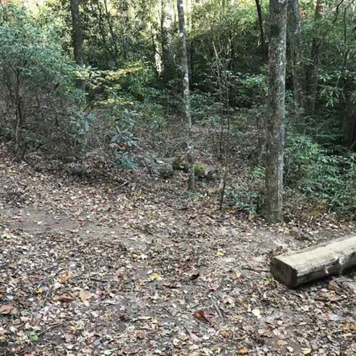 Near Frank Coggins Trail