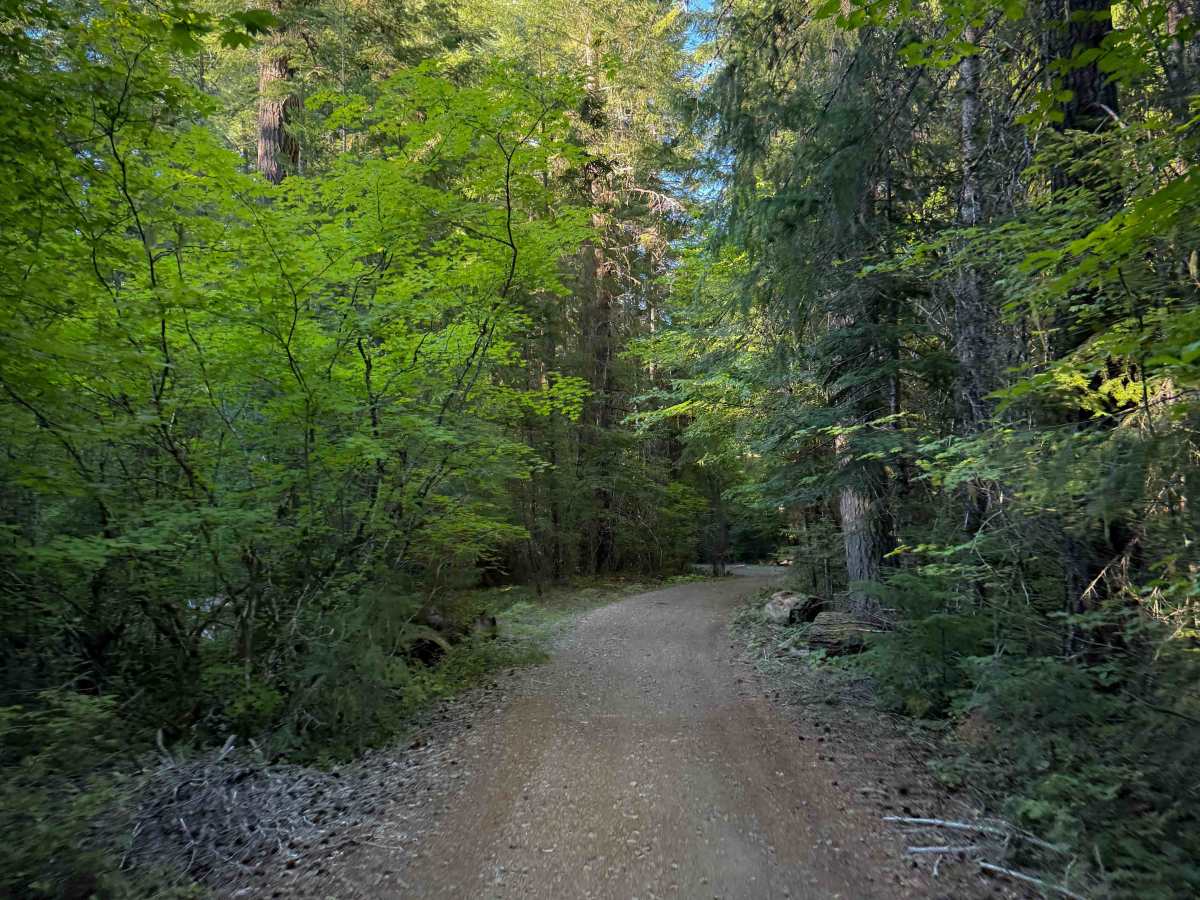 Elk Trail #24  trail photo