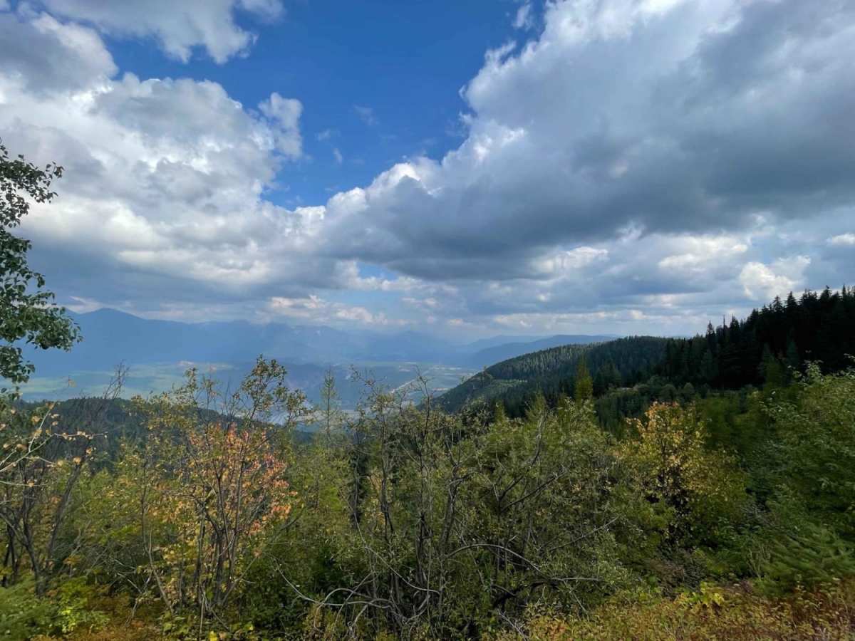 Ruen Run trail photo