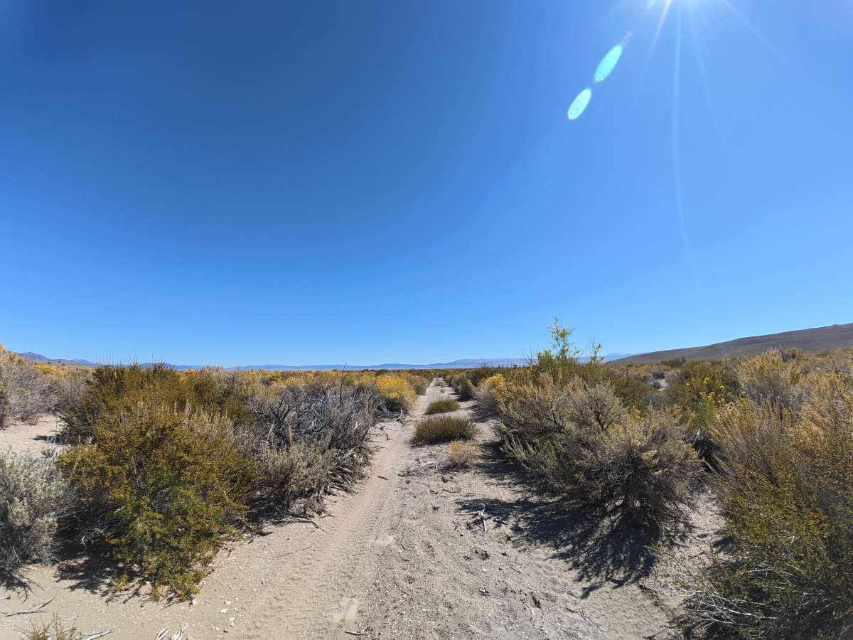 Dechambeau Pipeline photo 3