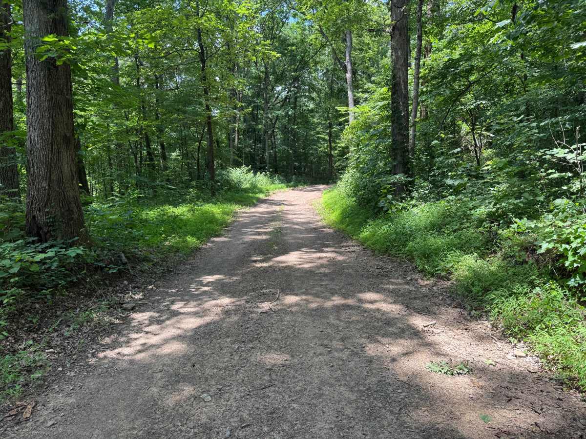 County Road 6291 photo 2