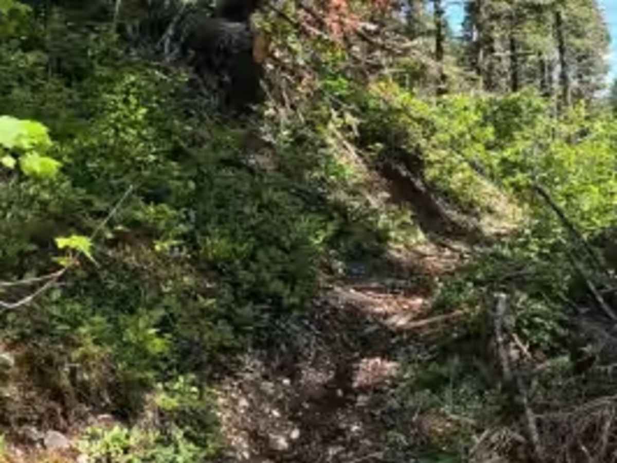 Smith River Trail photo 5