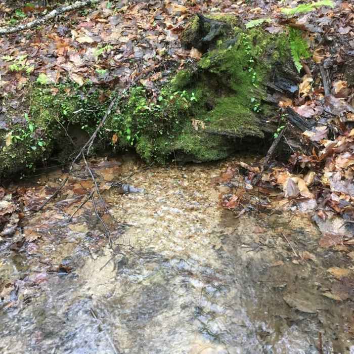 Near Pine Mt. and Cooper's Furnace Tour