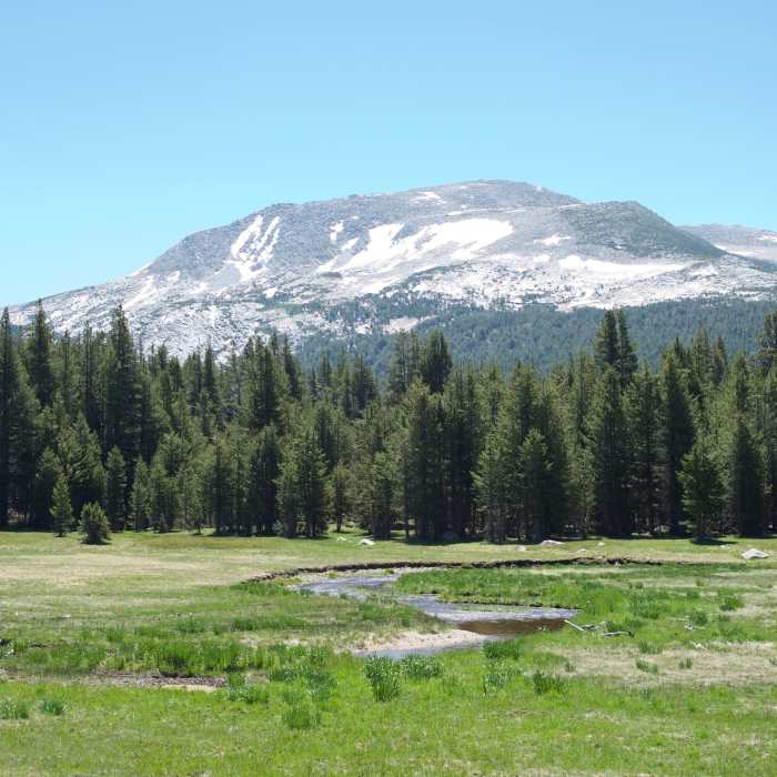 Near Lower Gaylor Lakes Trail