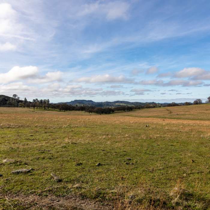 Meadow south of OK Corral Near Mokelumne Coast to Crest Trail
