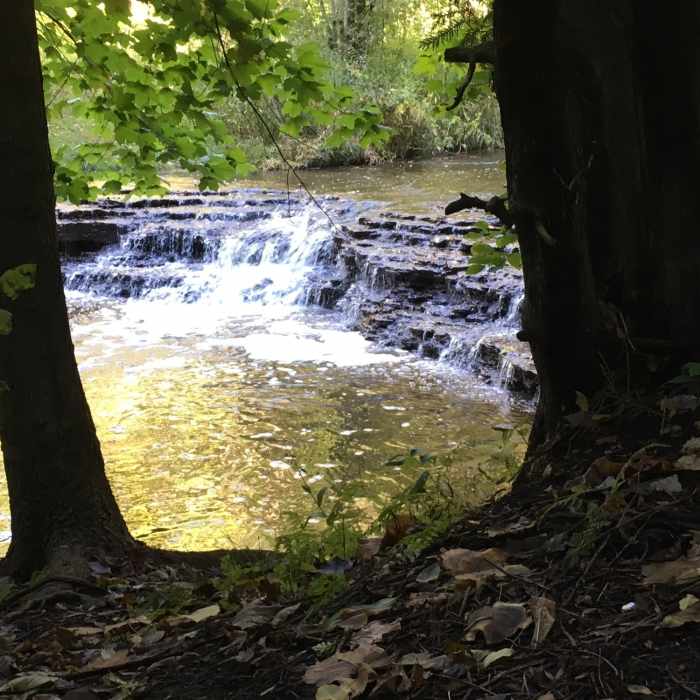 Nice waterfall Near Bairds Creek Orange Loop