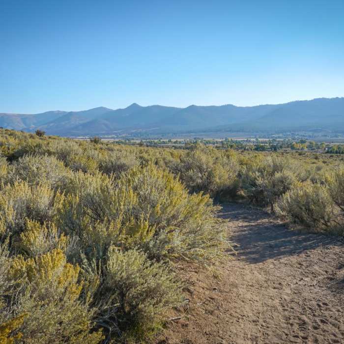 Near Bald Mountain Loops