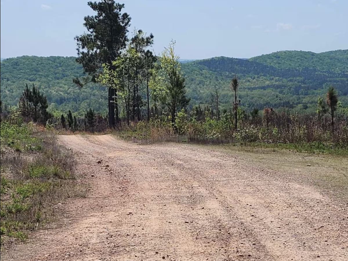 Alexander Ridge Trail photo 6
