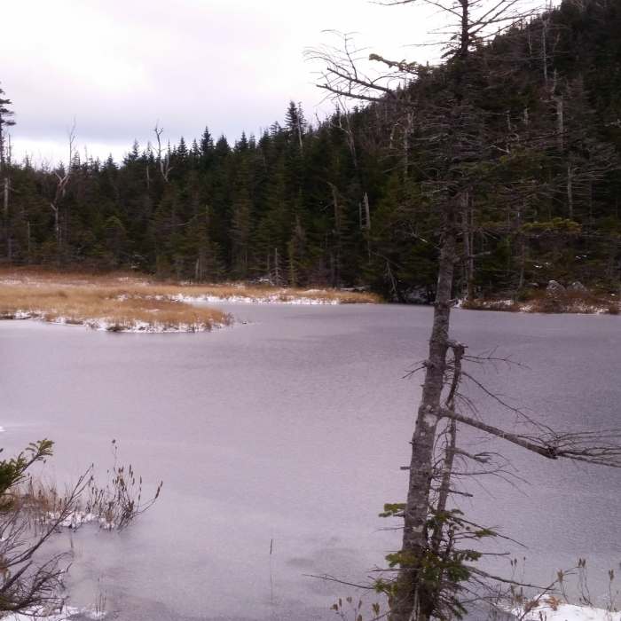 Elk Pass Pond Near Nippletop and Dial via Elk Pass