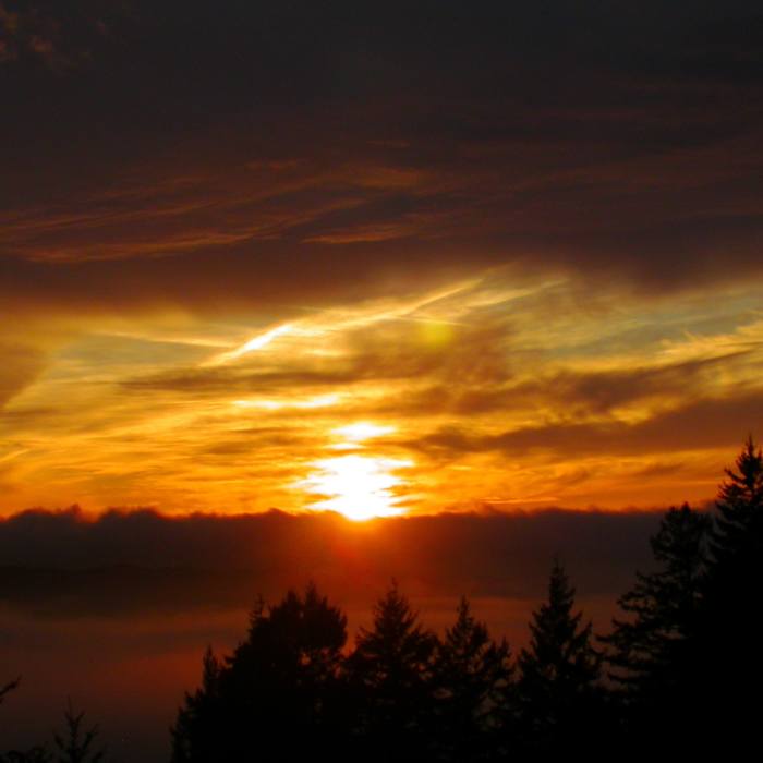 Near State Park Trifecta