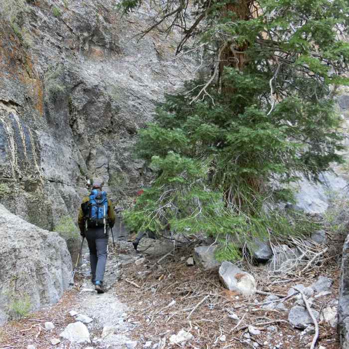 Near Notch Peak Hike