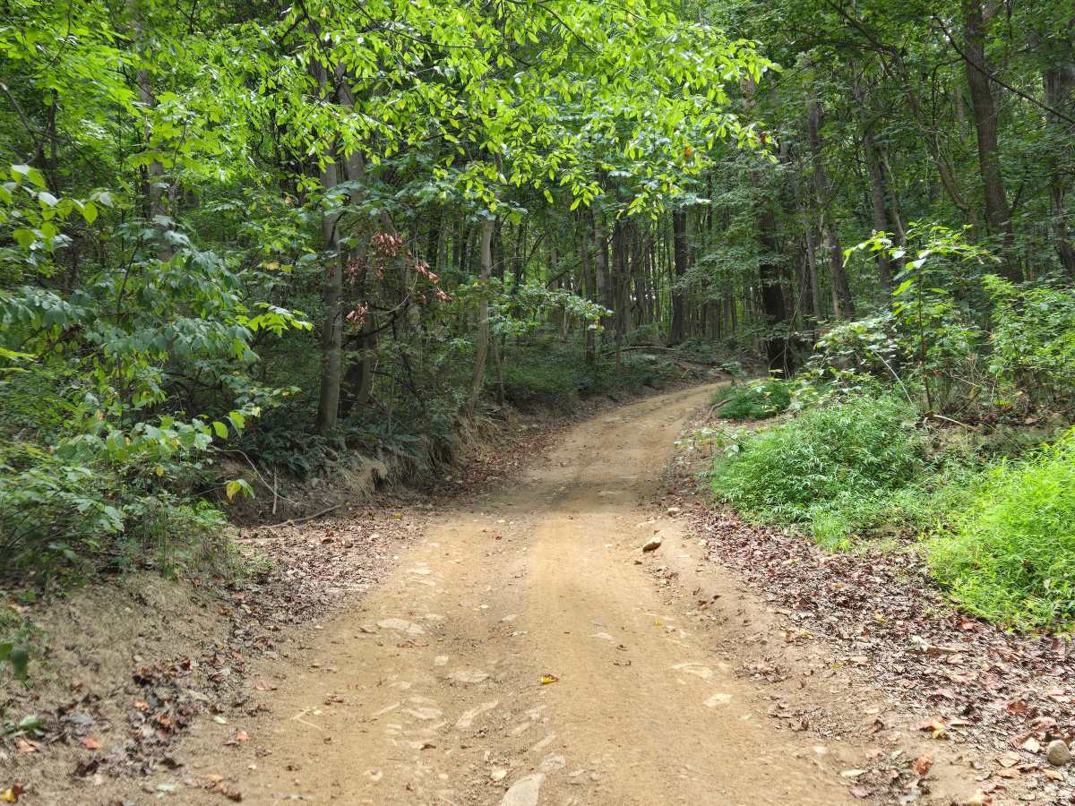 Trail 45 photo 6