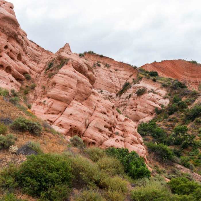 Near Borrego Canyon + Red Rock Canyon Trails