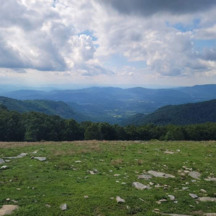 At the top of the trail. Near Bearwallow Mountain Loop