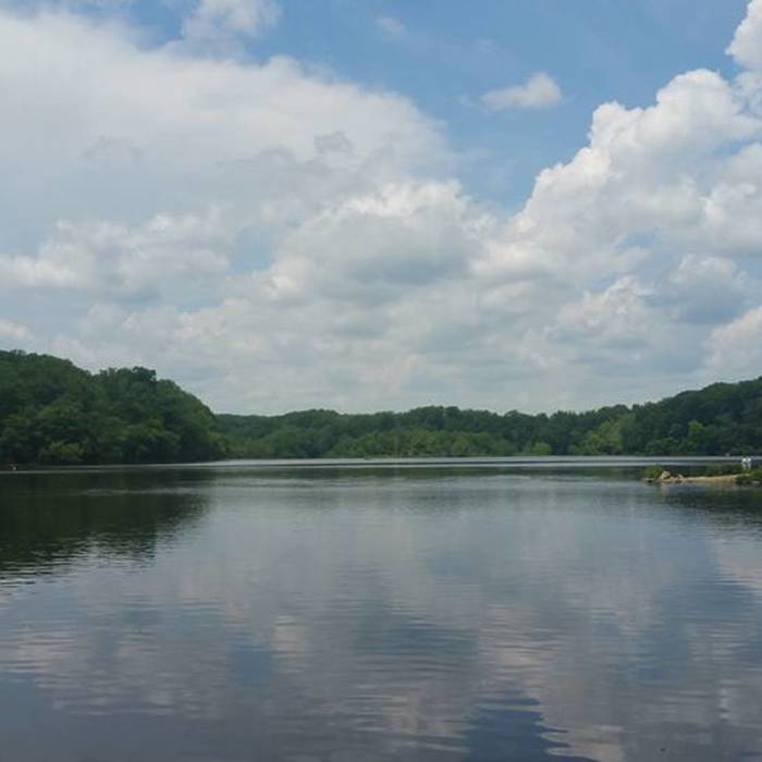 Lakeview Near Wakefield/Accotink Loop