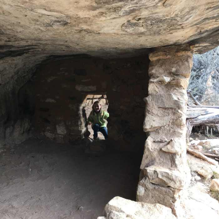 Near Island Trail Loop