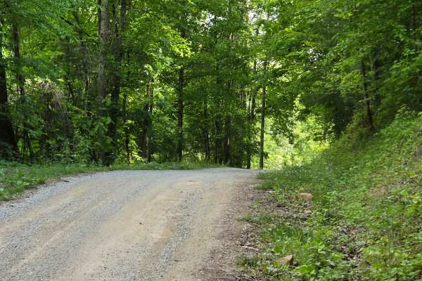 Newfound Road