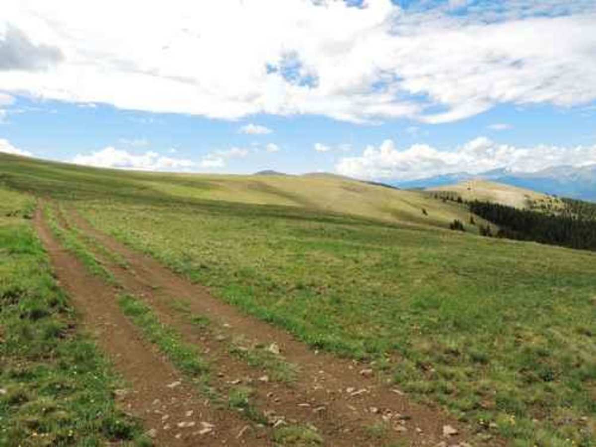 Leadville Southeast photo 5
