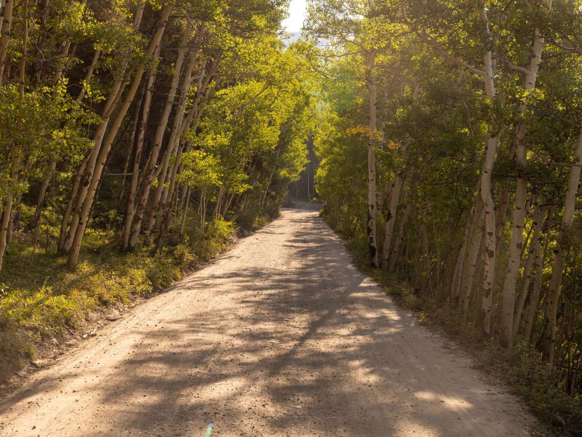 Boreas Pass photo 5