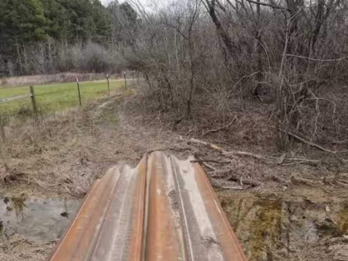 Wolf Creek Trail photo 6