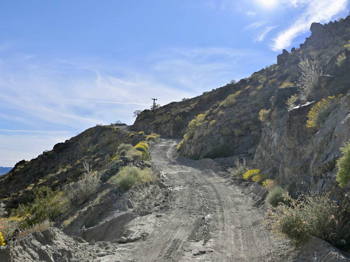 Chuckwalla Peak Road trail photo