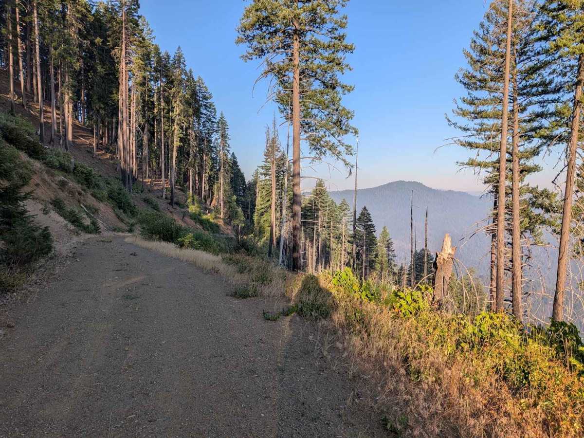 Big Lake Road - FS 5N09 photo 5
