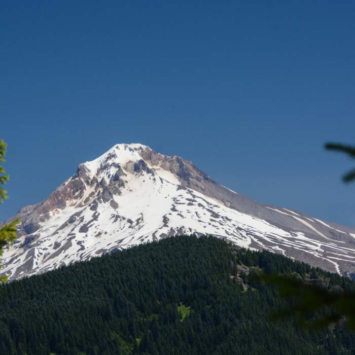 Near Salmon Butte Trail #791