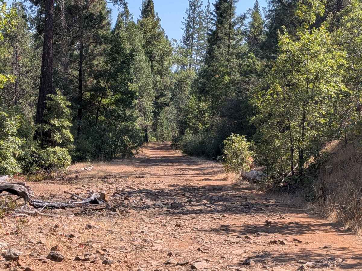 Jordan Creek Road - FS 2S17 photo 2