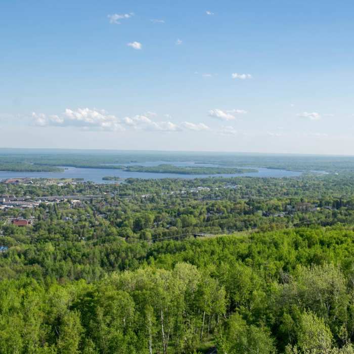 Near Brewer Park Loop Near Brewer Park Loop