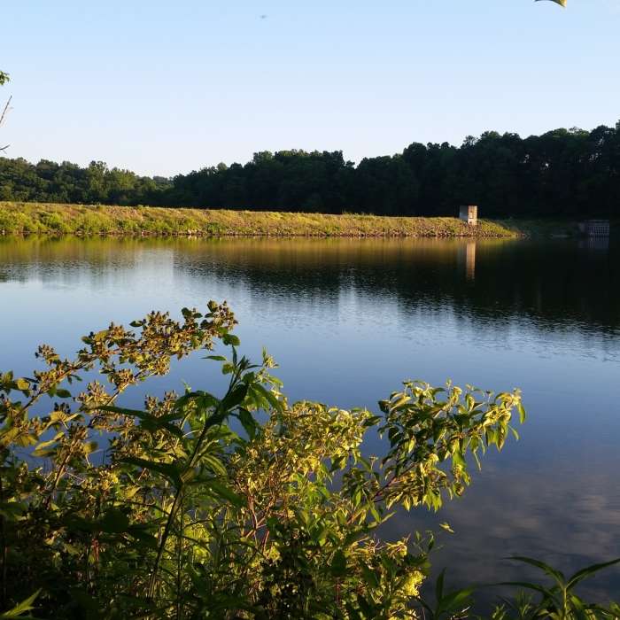 View of the dam from the fishing point. Near Marsh Creek Dam Hike