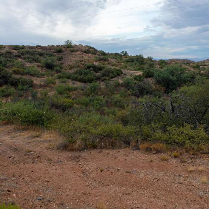 Near Power Line Trail