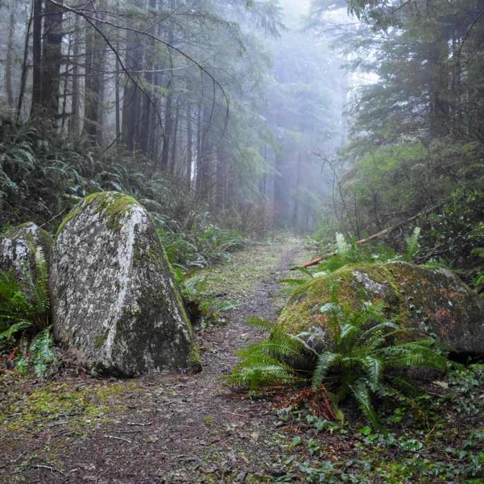 Near Horse Creek South Trail Hike